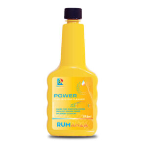 Fuel System Cleaner